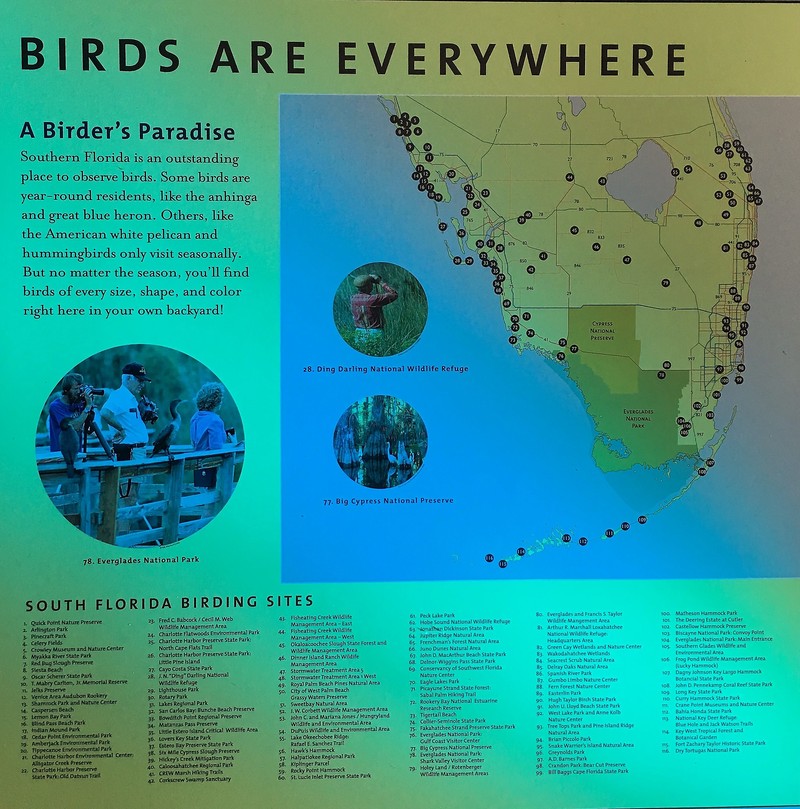 airboat tour miami beach